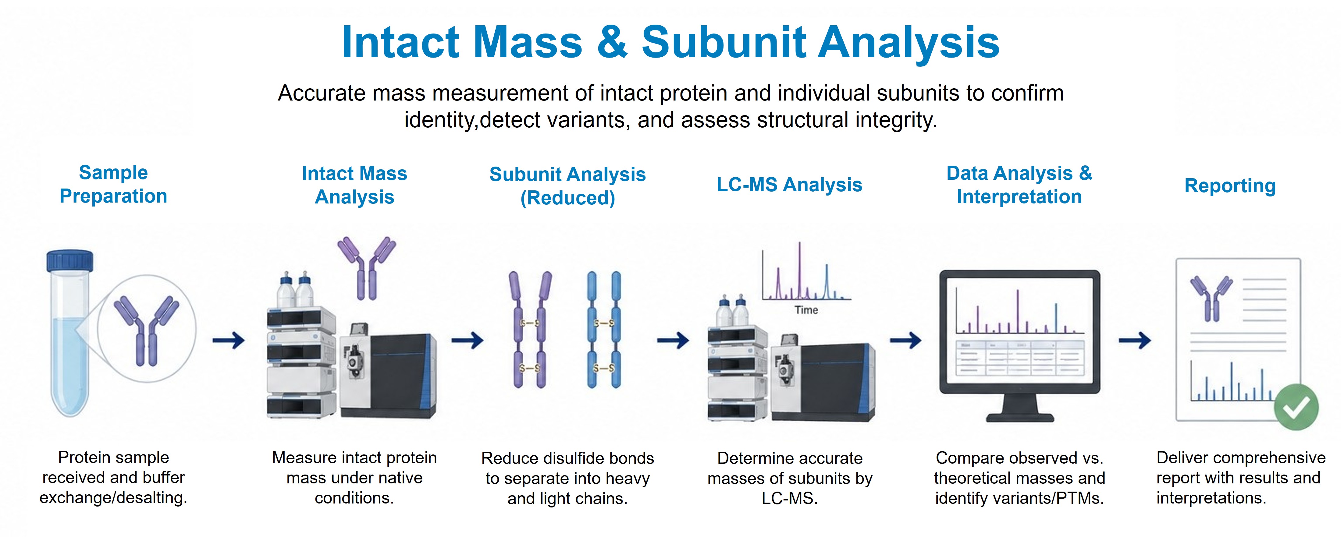 Intact mass and subunit analysis