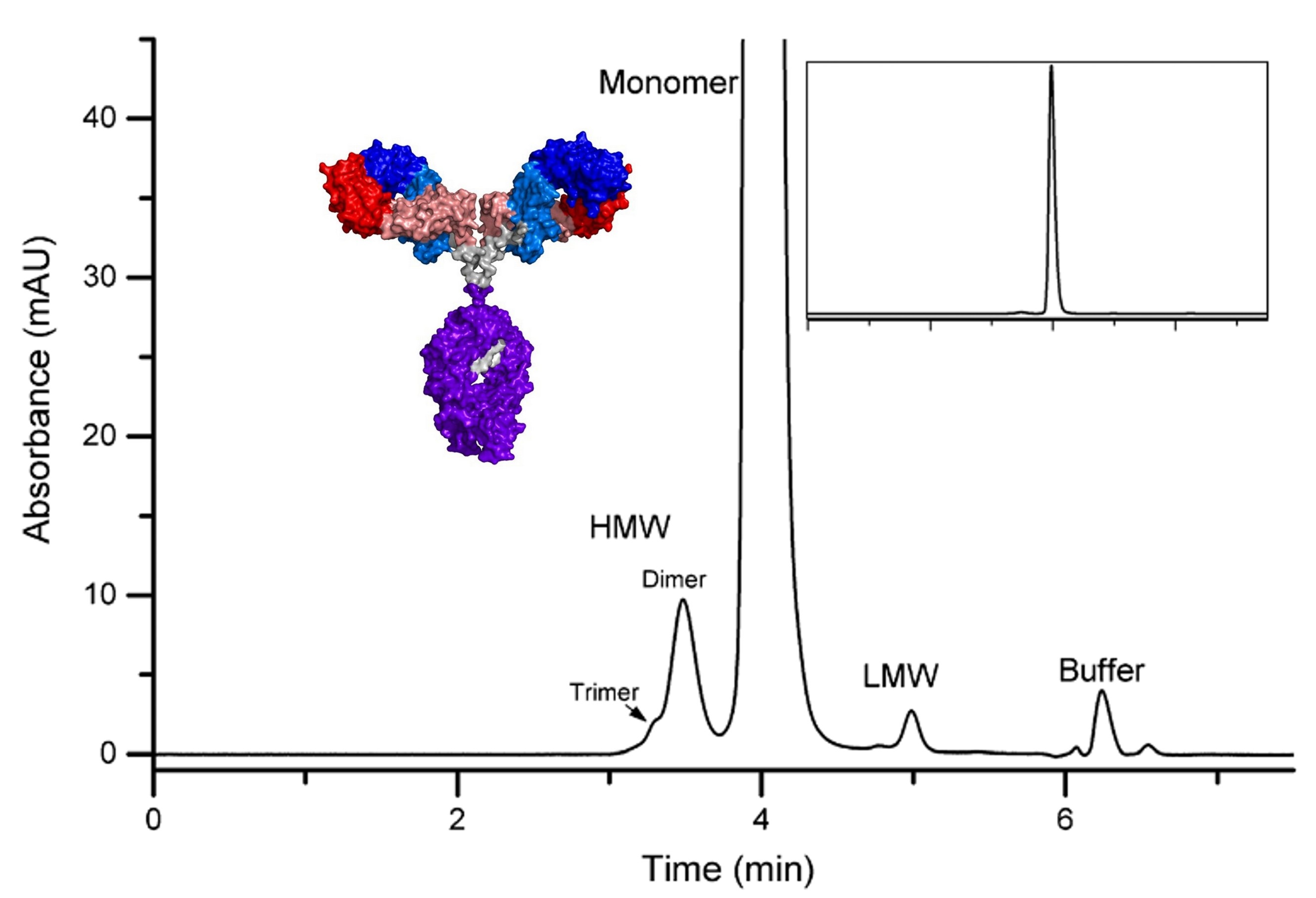 Purity and size variant analysis of therapeutic monoclonal antibodies