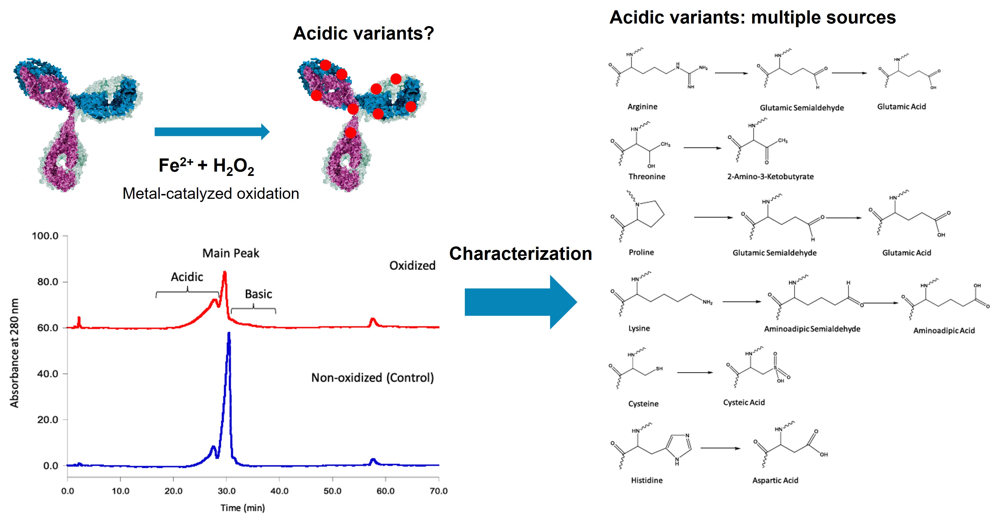 Charge variant analysis of monoclonal antibodies