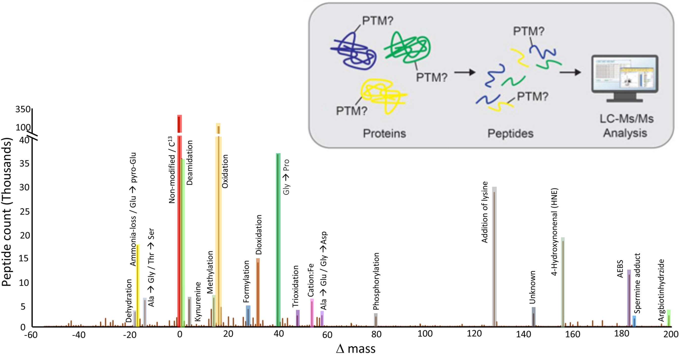 Proteome-wide profiling and mapping of post translational modifications in human hearts