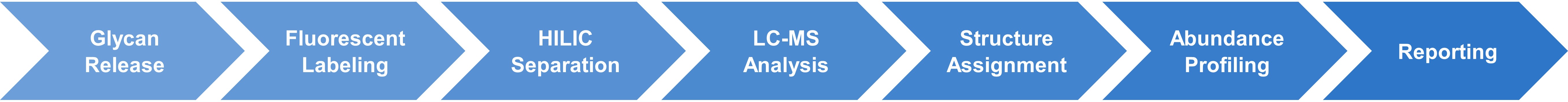 Glycosylation profiling analytical workflow