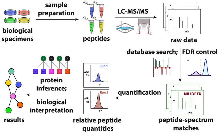 An introduction to mass spectrometry-based proteomics