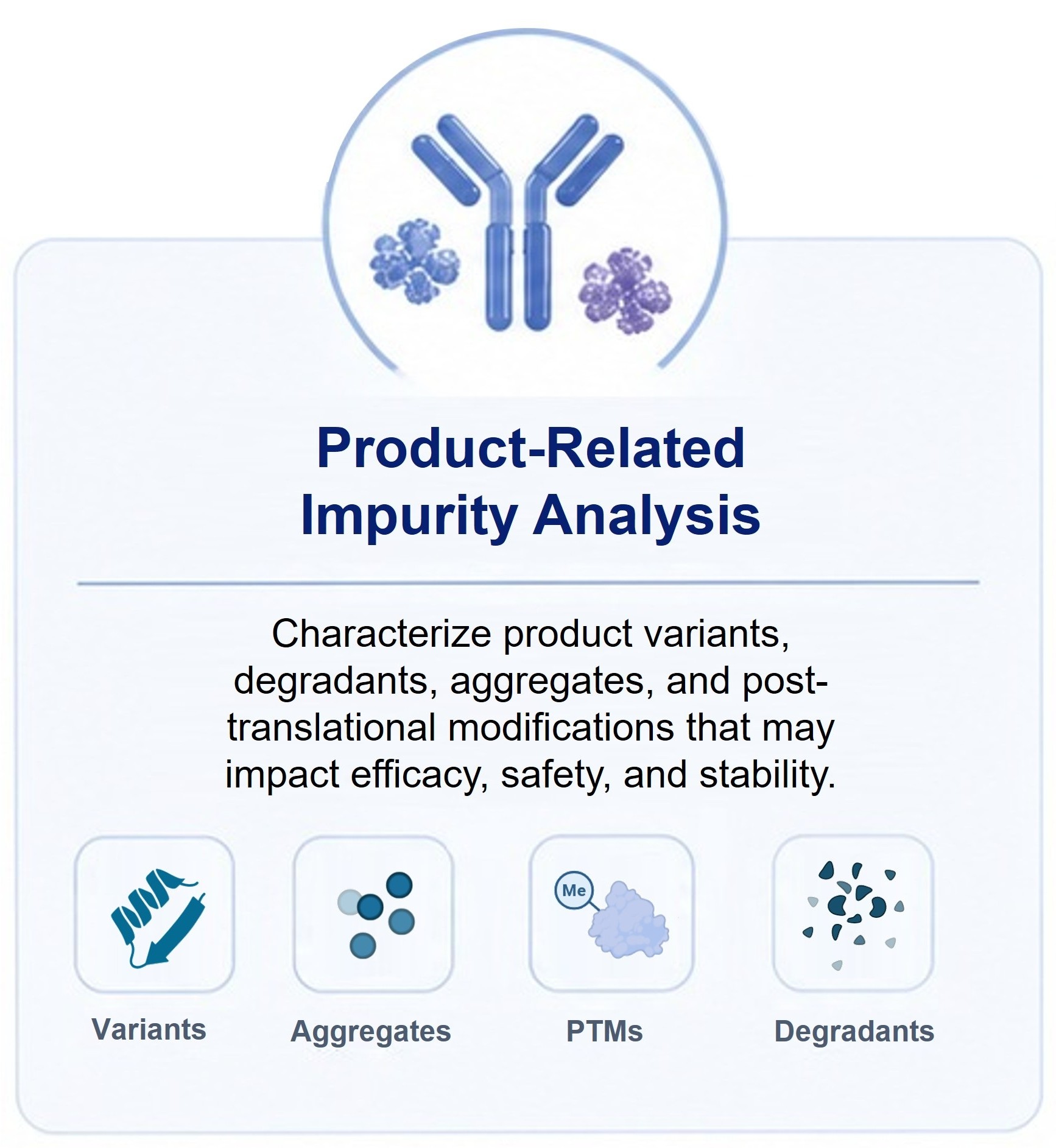 Product-Related Impurity Analysis