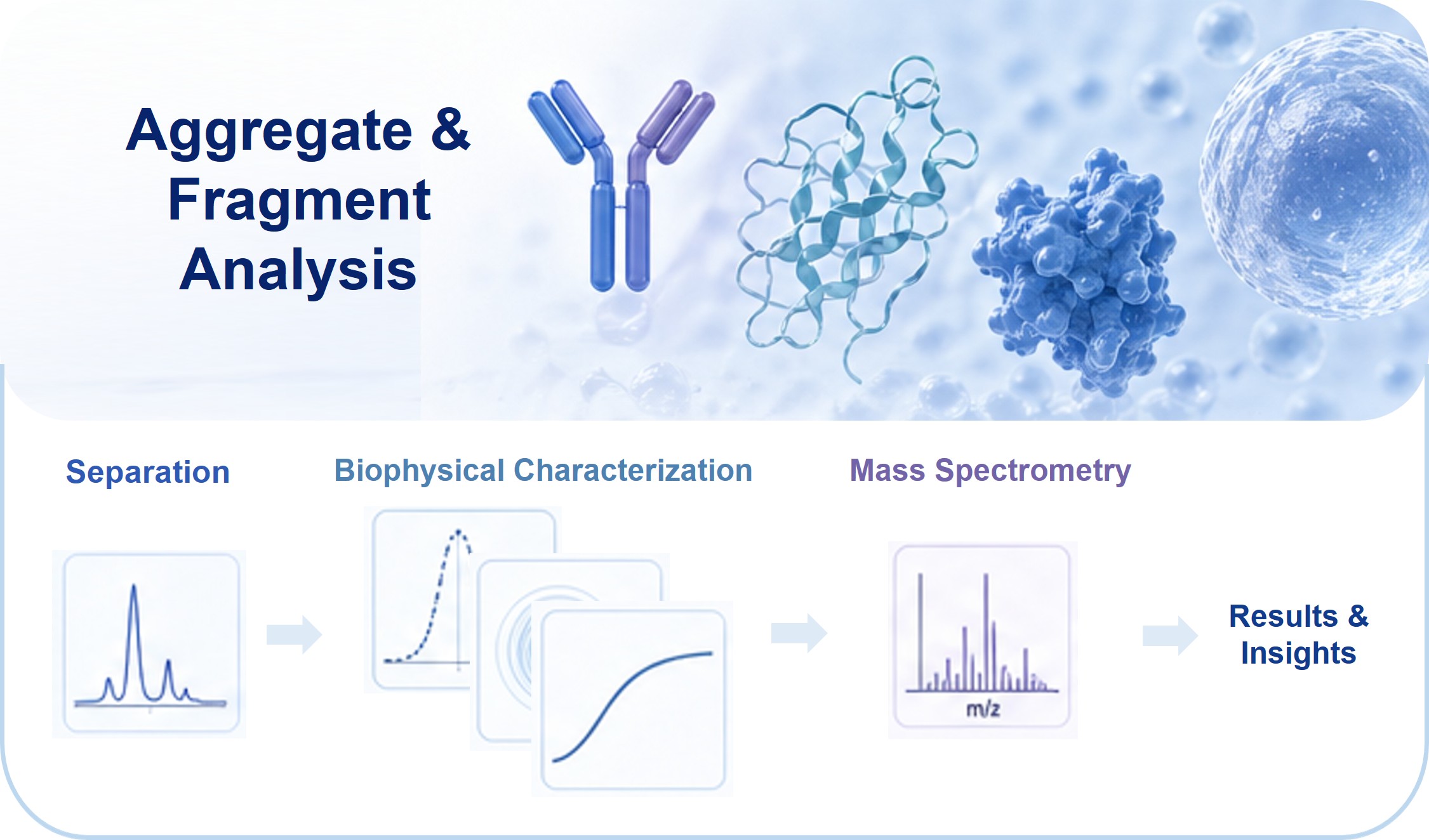 Aggregate and fragment analytical characterization platform