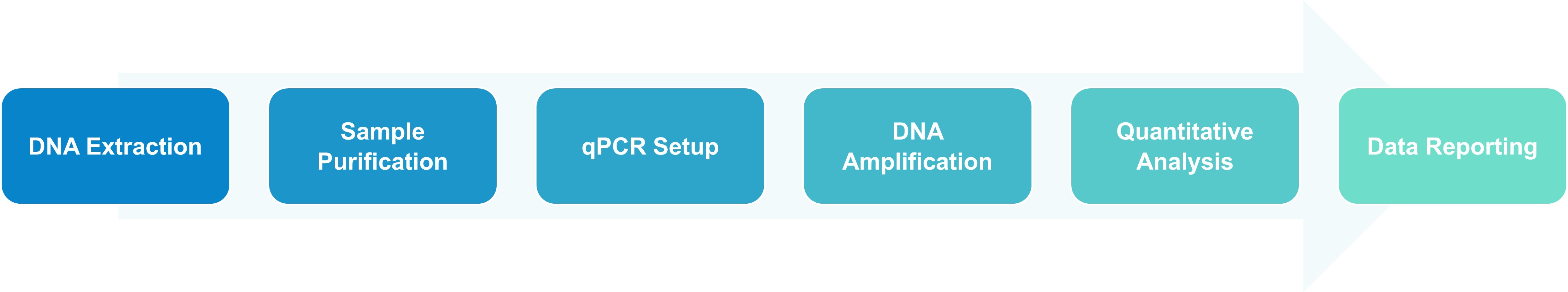 Residual DNA extraction and quantification workflow