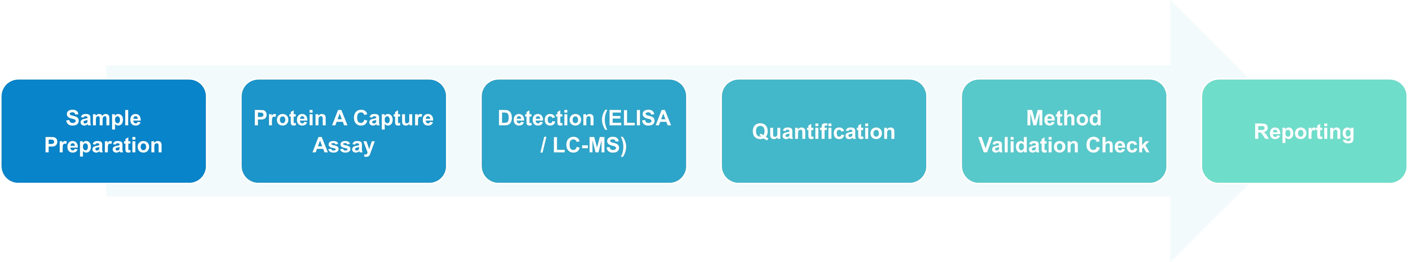 Residual Protein A clearance and analytical workflow