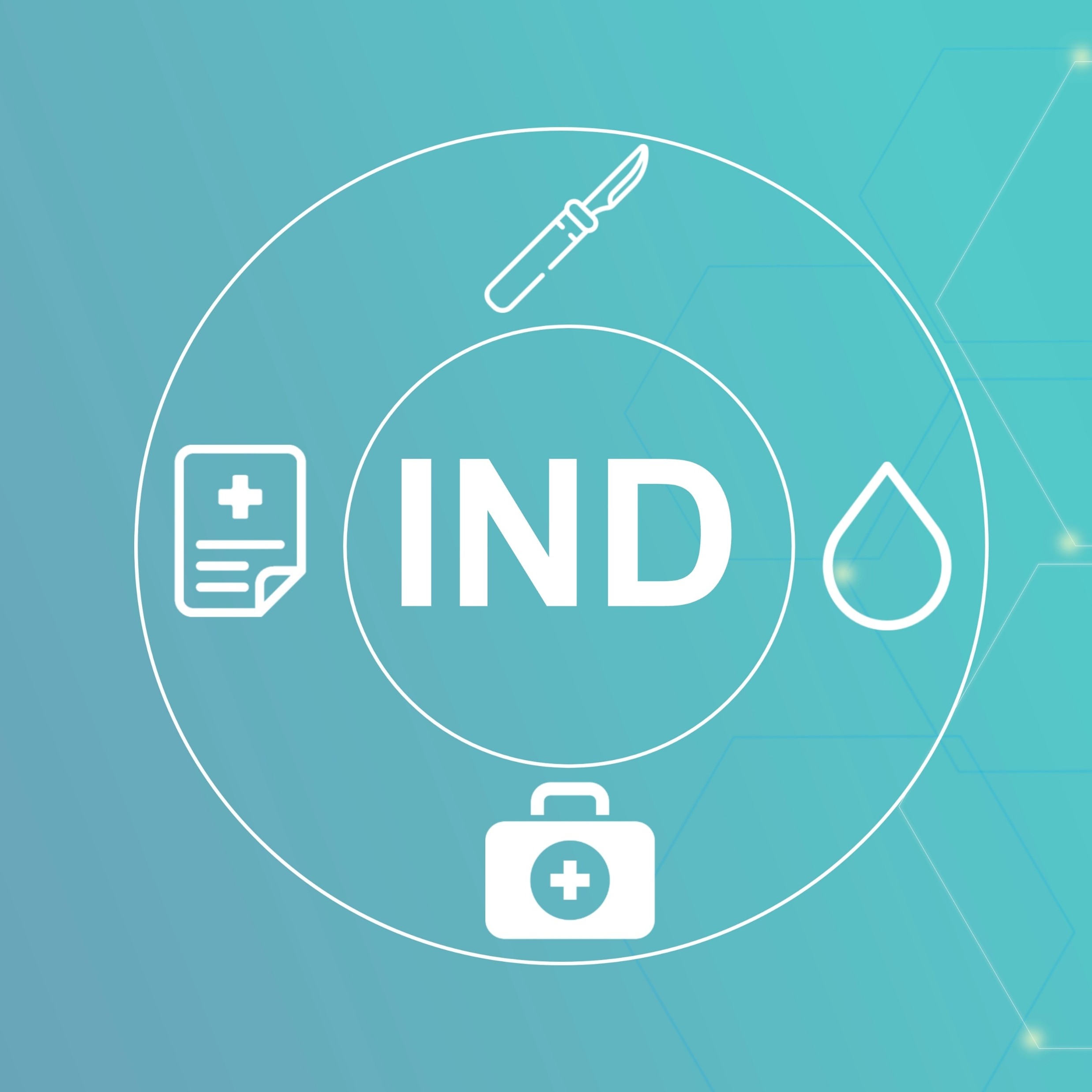IND-enabling CMC development service overview