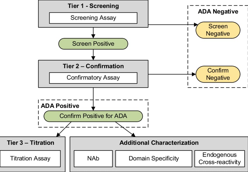 Tiered ADA testing strategy flowchart