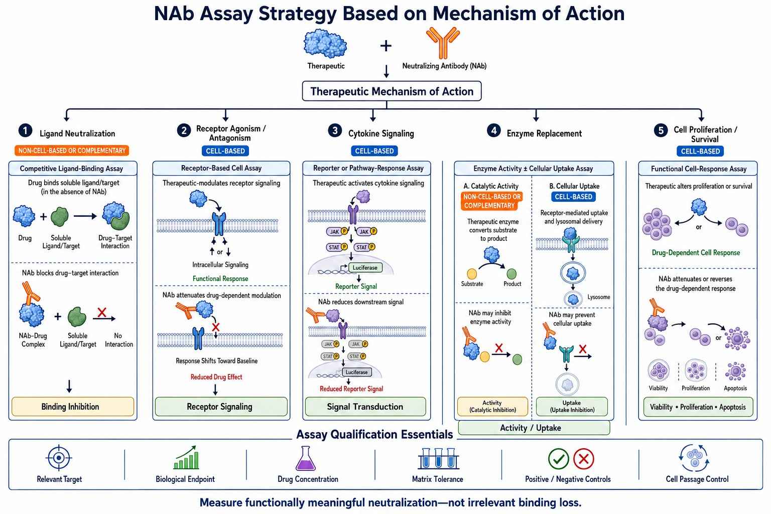 NAb assay strategy based on mechanism of action