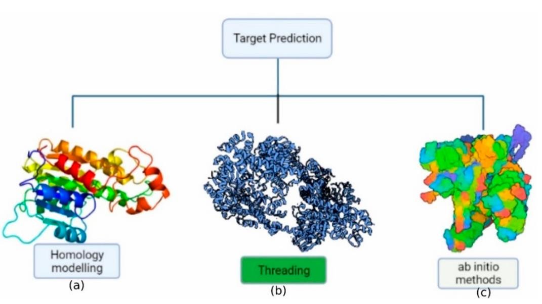 Protein structure prediction.