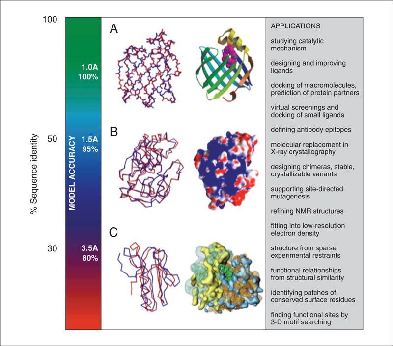 Accuracy and application of protein structure models.