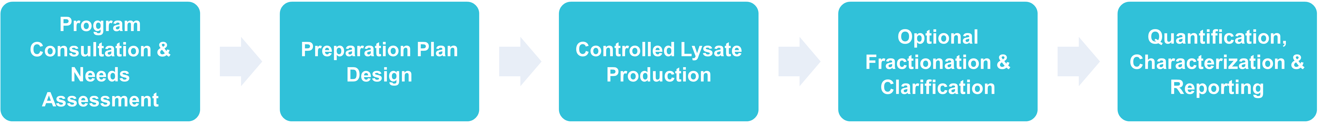 Representative workflow illustrating how custom lysate preparation is structured