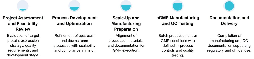 Service workflow of cGMP compliant protein production