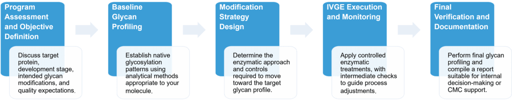 Service workflow of in vitro glyco engineering