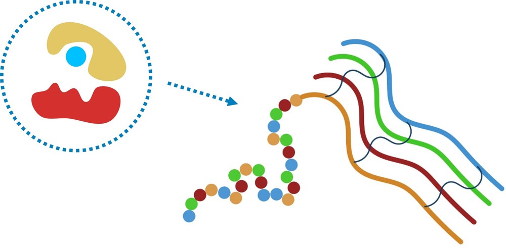 Enzyme-assisted protein synthesis and assembly services by Profacgen