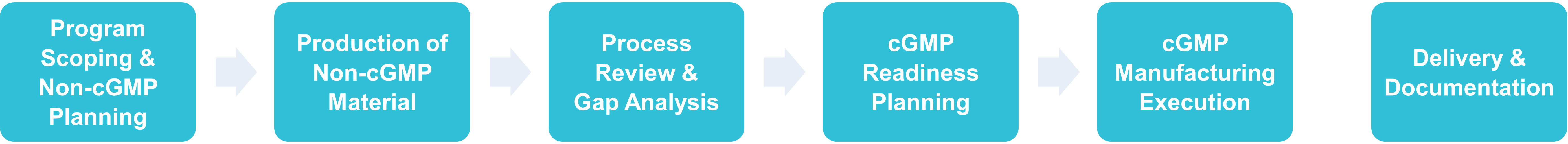 Representative workflow showing how Profacgen plans and executes IND-enabling non-cGMP production and cGMP manufacturing service