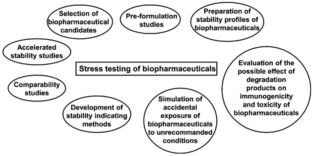Forced degradation and stress testing