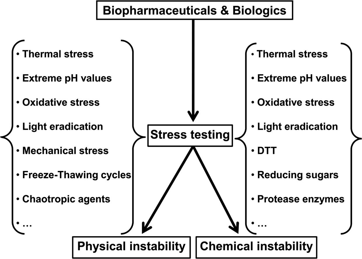 Forced degradation studies of biopharmaceuticals: Selection of stress conditions