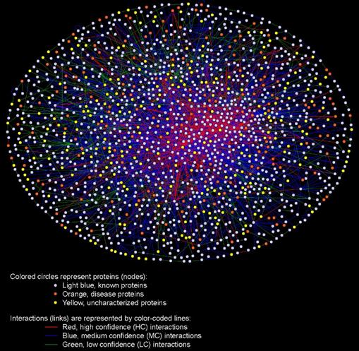 A New Method for Detecting Intracellular Interacting Proteins