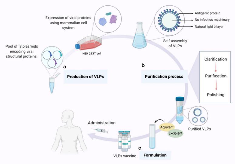 A New Method for optimization of Virus-Like-Particles (VLP)