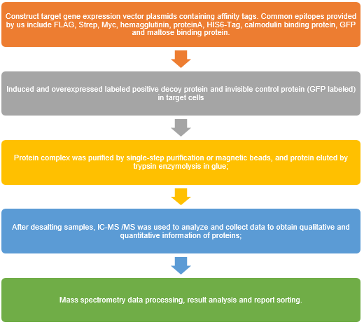 Affinity- Purification /mass spectrometry (AP-MS) Service