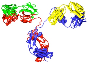 Anti-Drug Antibody (ADA) Evaluation Service