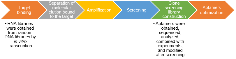  Aptamer development service