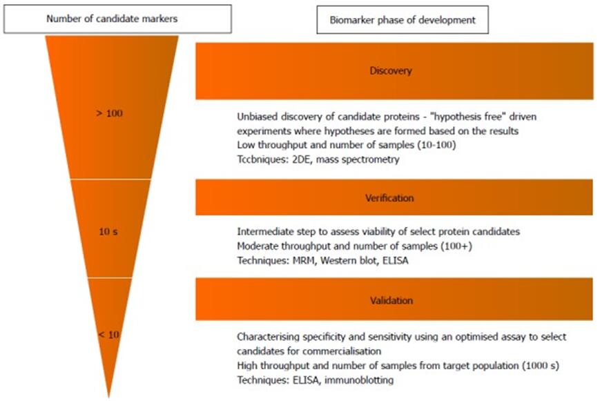 The various stages of biomarker from discovery to validation with proper techniques.