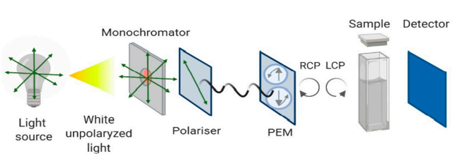 Figure 1. Schematic representation of the Circular Dichroism instrument configuration