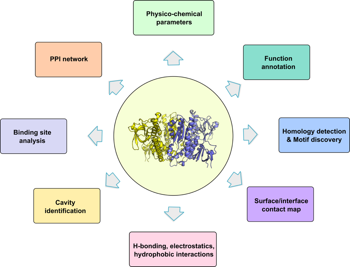 Computational Protein Analysis