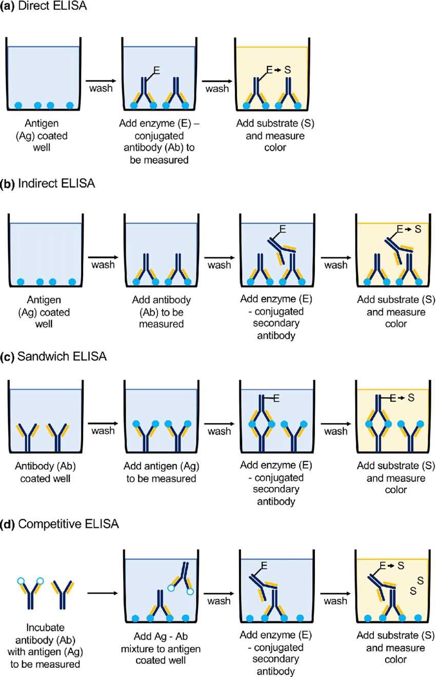 enzyme-linked-immunosorbent-assay-elisa-profacgen