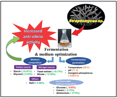 Fermentation Process Developmen