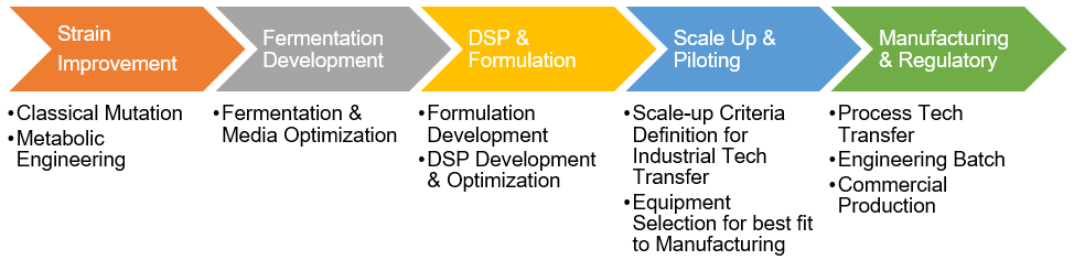 Fermentation Process Developmen