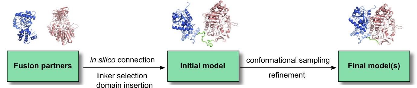 Workflow for predicting  the structure of fusion proteins