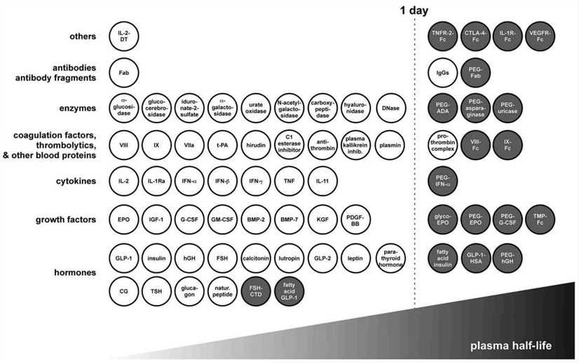 Overview of approved therapeutic proteins and half-life extended derivatives thereof