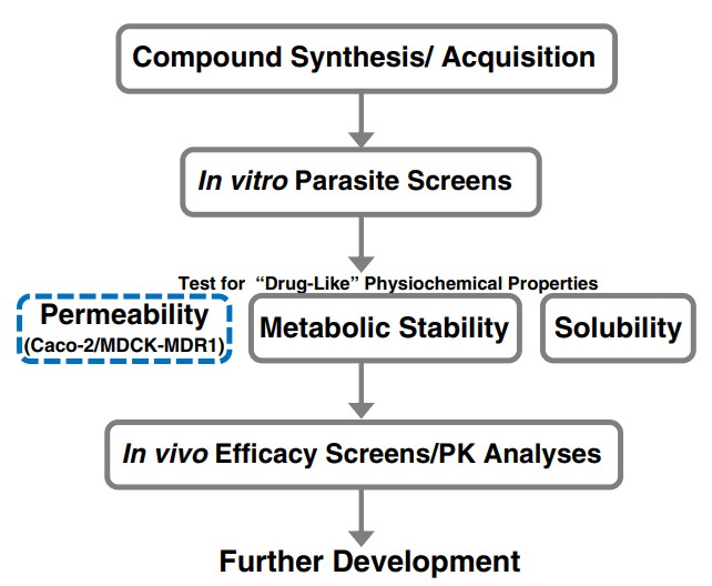 Implementation of cell-based permeability studies in anti-malarial drug development/screening