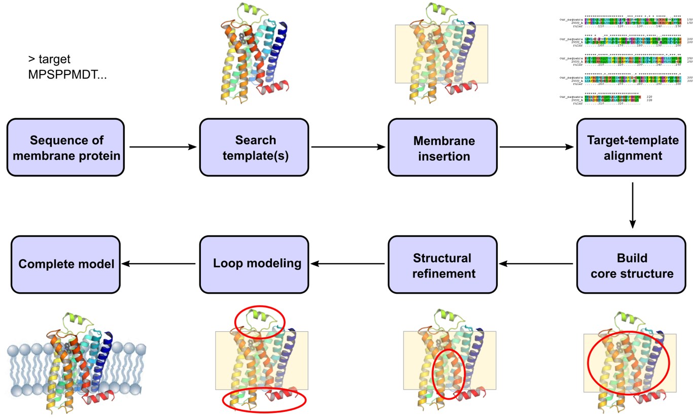 Membrane protein modeling pipeline