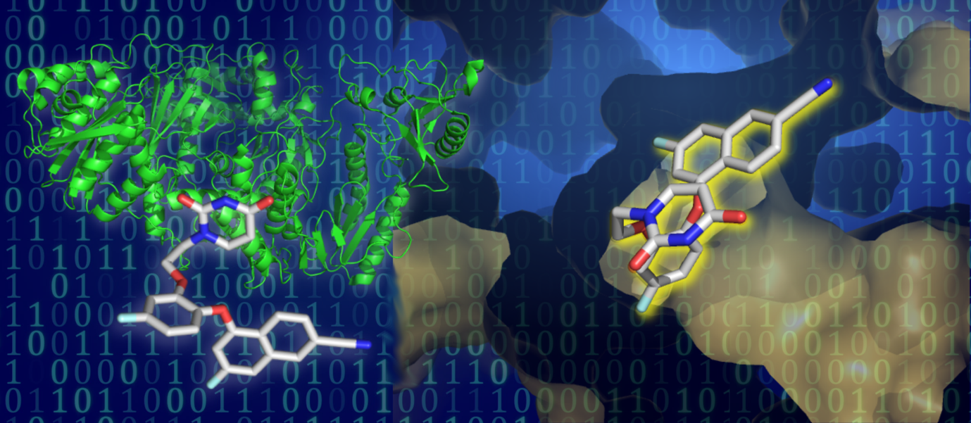 Molecular Docking