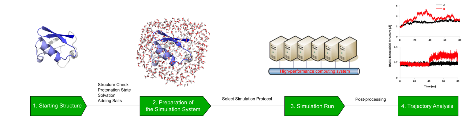 Principle of co-Immunoprecipitation