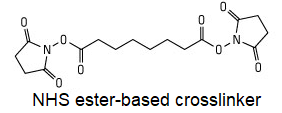  NHS ester crosslinker