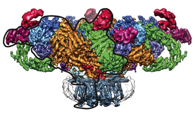 Figure 1. The structure of the ryanodine receptor in a nanodisc, resolved to ∼6.1 Å through cryo-EM
