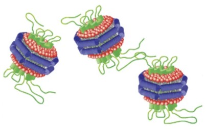 Nanodisc for Protein Purification