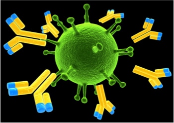 Neutralizing Antibody (NAb) Test Service