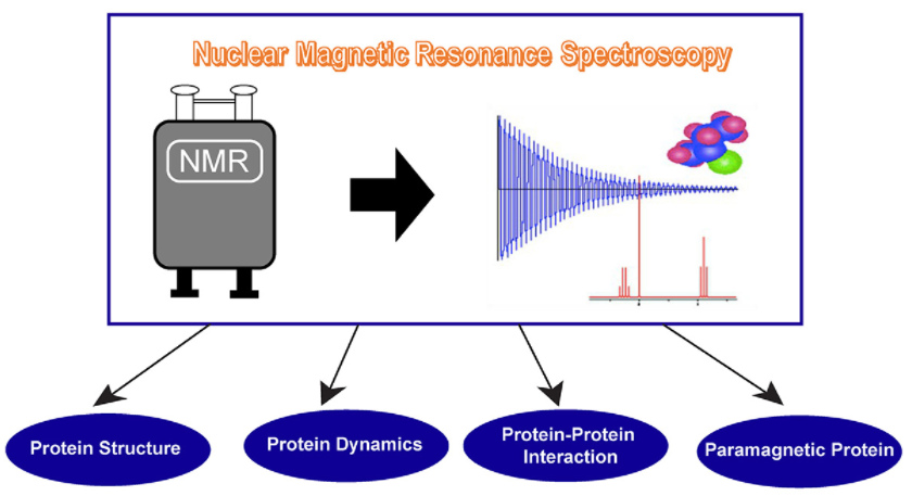 Figure 1. nuclear magnetic resonance spectroscopy for protein research