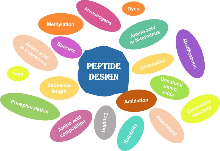 Key elements in peptide design.