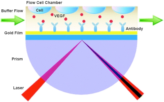 Principle of the SPR technology