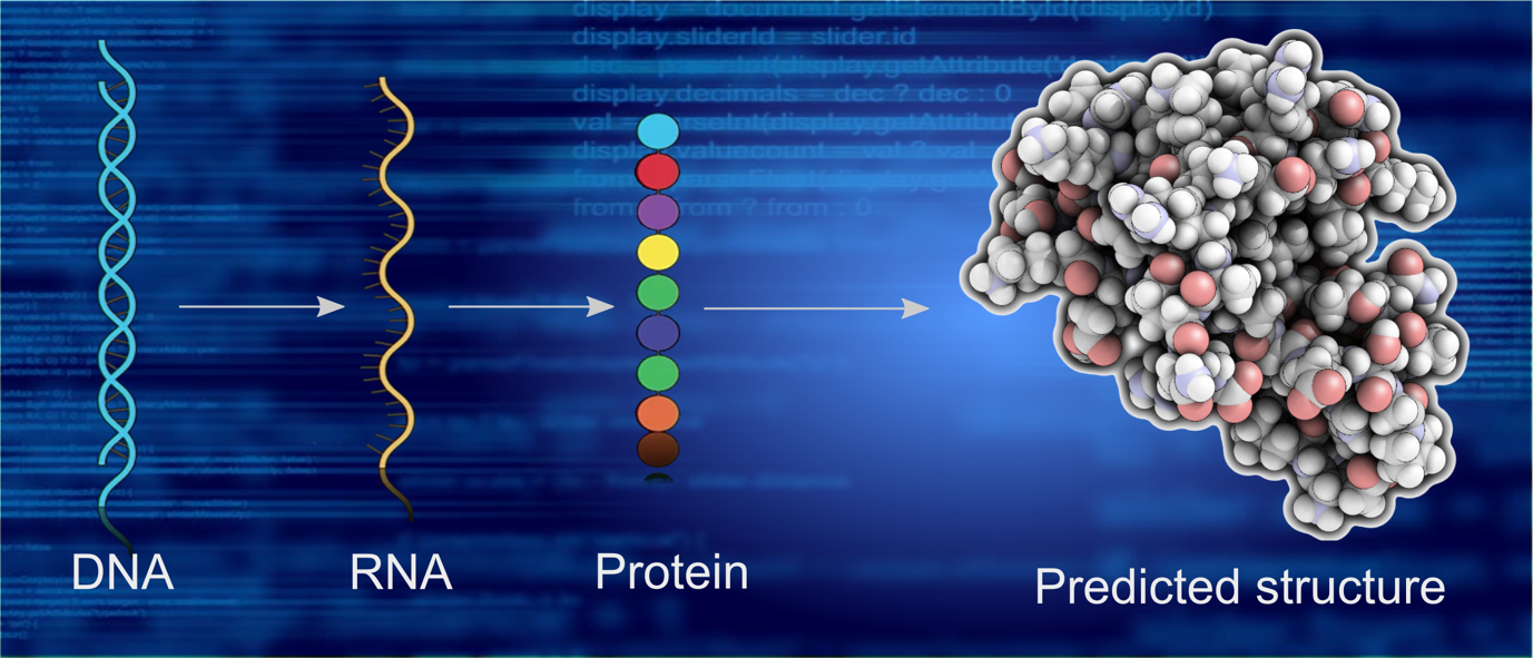 Protein Structure Modeling