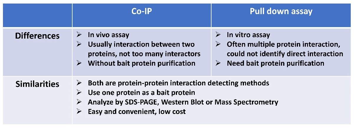 Pull down assay