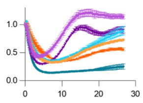 Real-time Degradation Kinetics Measurement