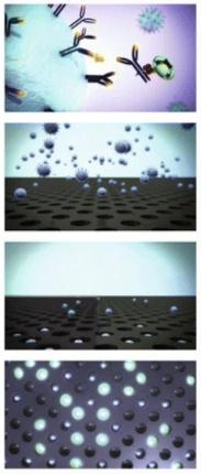 Figure 1 Single Molecule Arrays (Simoa™) technology.[1]